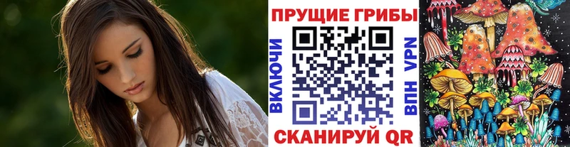 Купить где  Нурлат  Галлюциногенные грибы GOLDEN TEACHER 